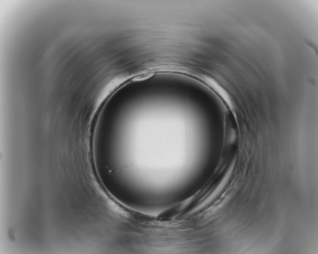 X0000096221005200801251052