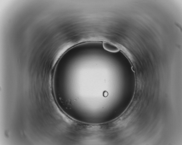 X0000096221006200801251052