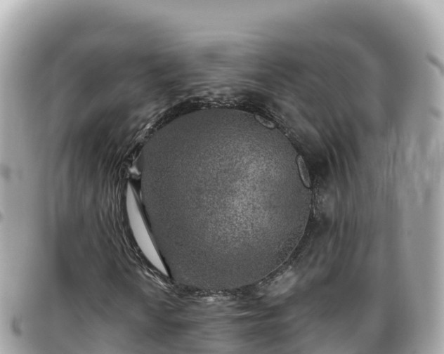 X0000096221010200801251051