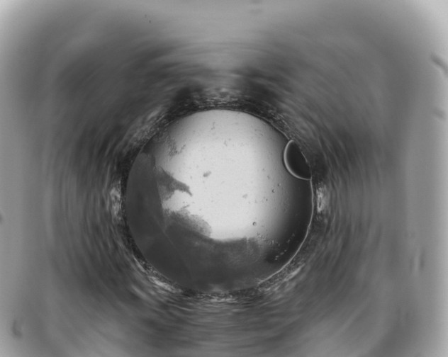 X0000096221011200801251052