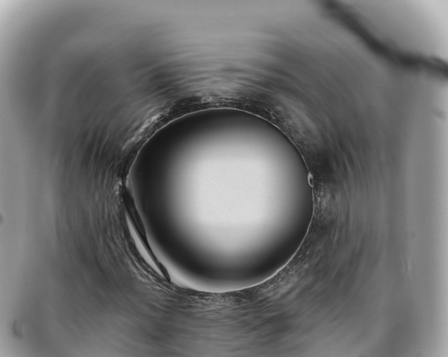 X0000096221012200801251052