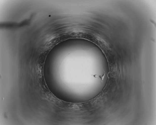 X0000096221013200801251052