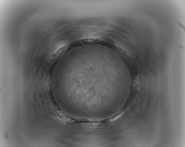 X0000096221014200801251052