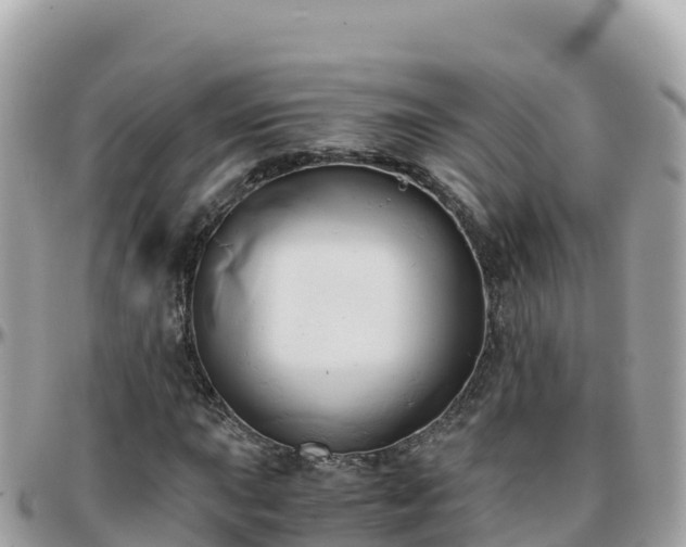 X0000096221015200801251052