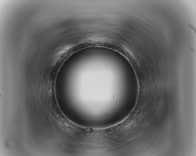 X0000096221016200801251052