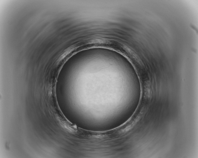 X0000096221017200801251052