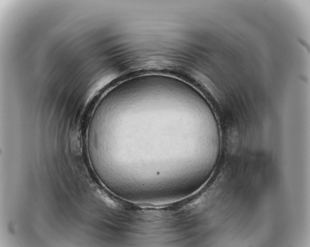 X0000096221018200801251052