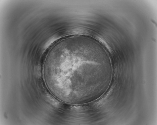 X0000096221019200801251052