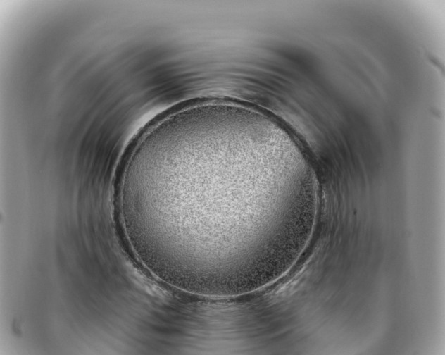 X0000096221020200801251052