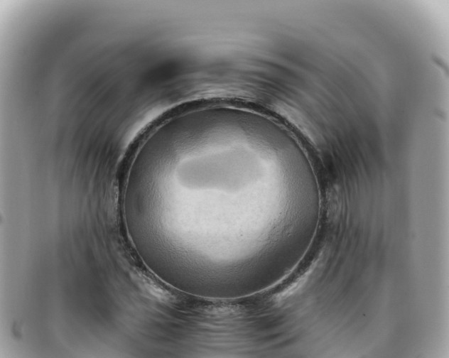 X0000096221021200801251052