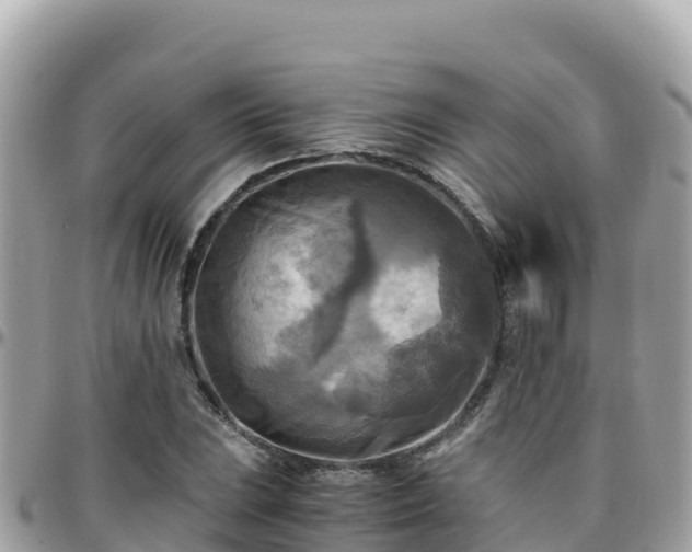 X0000096221023200801251052