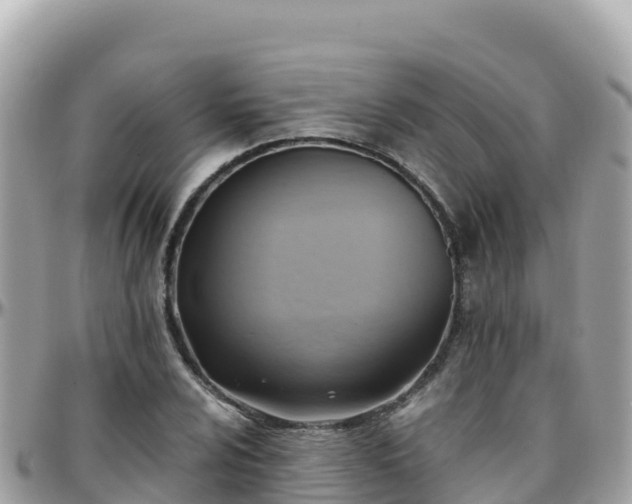 X0000096221024200801251052