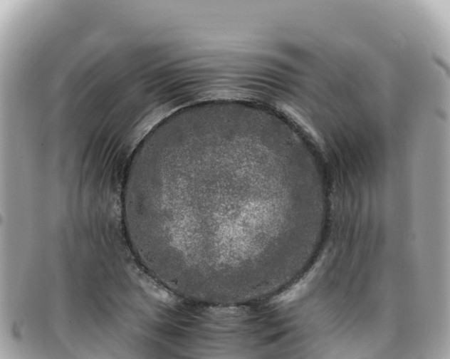 X0000096221025200801251052