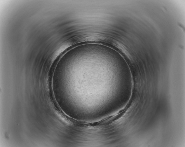 X0000096221026200801251052