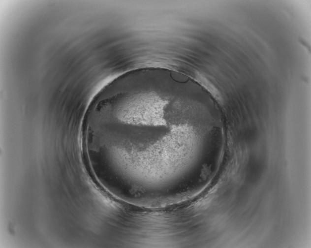 X0000096221028200801251052