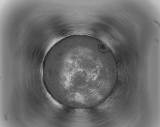 X0000096221032200801251052