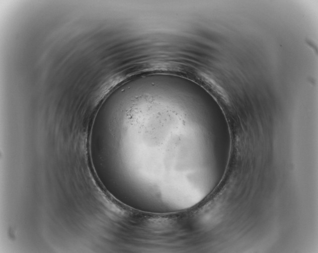 X0000096221033200801251052