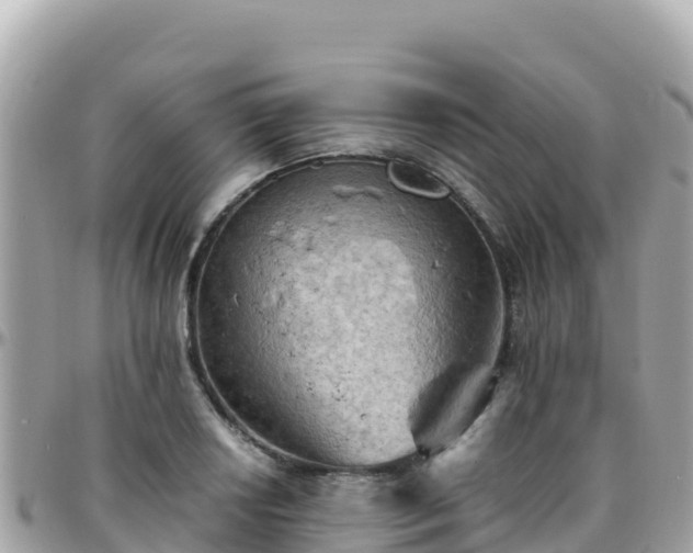 X0000096221034200801251052