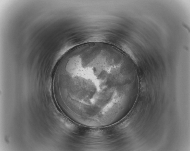 X0000096221035200801251052