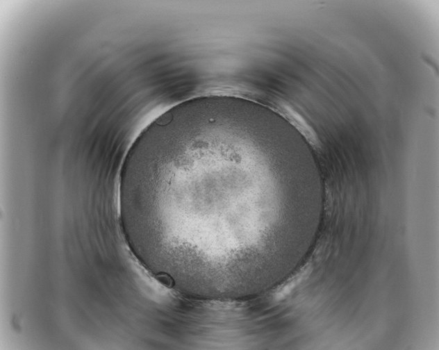 X0000096221036200801251052