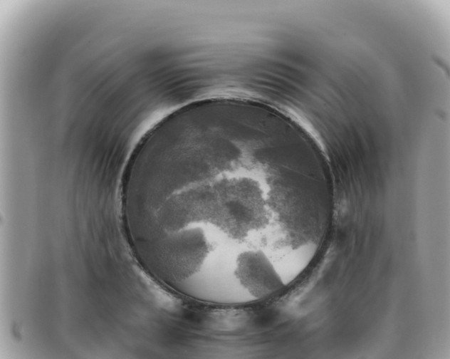 X0000096221037200801251052