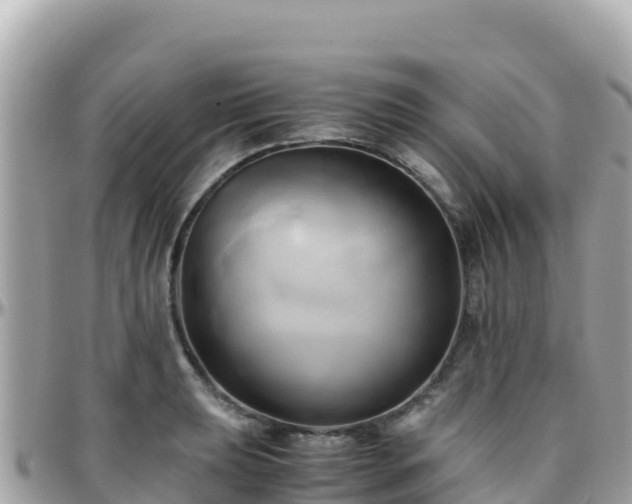 X0000096221039200801251052