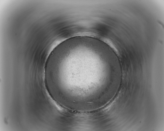 X0000096221040200801251052