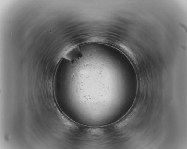 X0000096221041200801251052