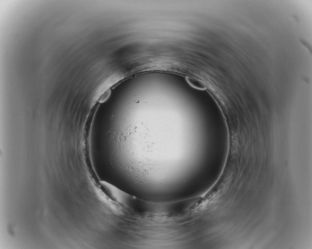 X0000096221042200801251052