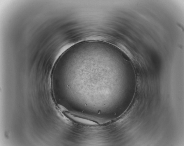 X0000096221044200801251052