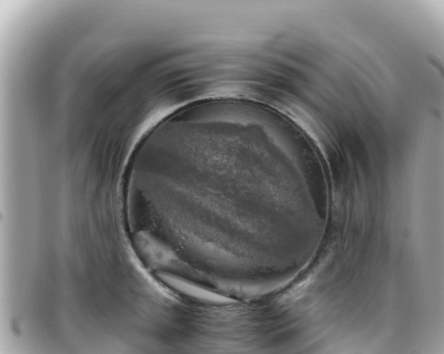 X0000096221045200801251052