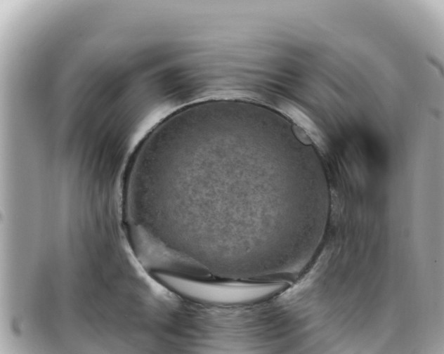 X0000096221046200801251052