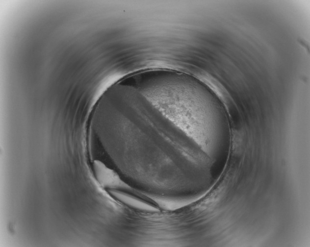 X0000096221048200801251052