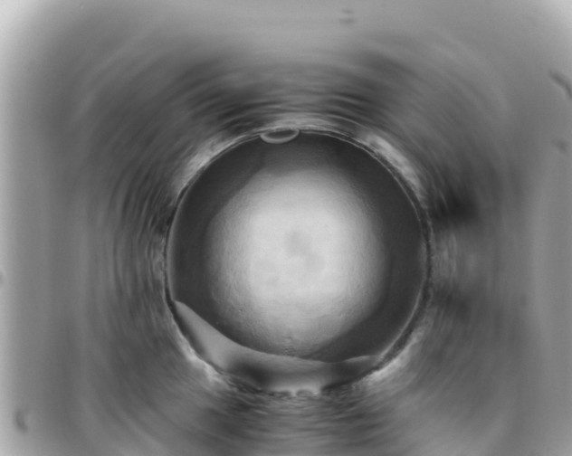 X0000096221049200801251052