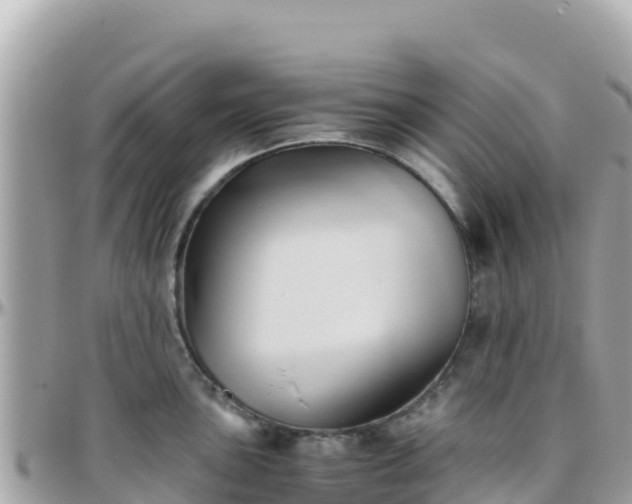 X0000096221051200801251052