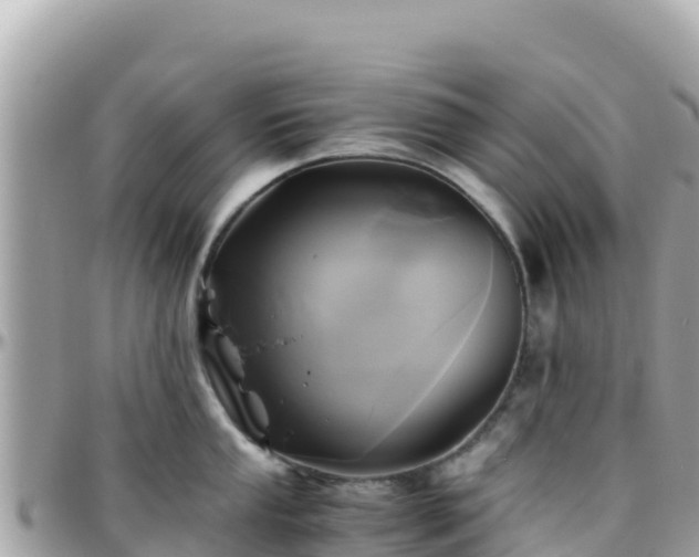 X0000096221053200801251052