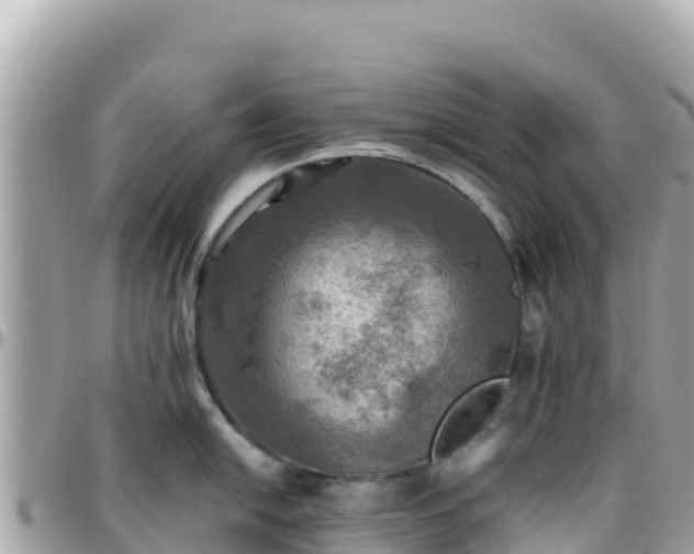 X0000096221054200801251052