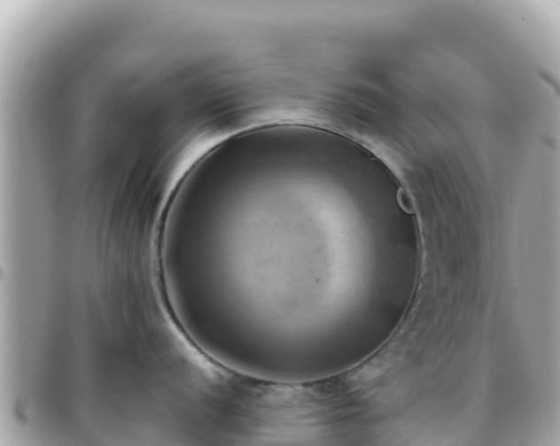 X0000096221056200801251052