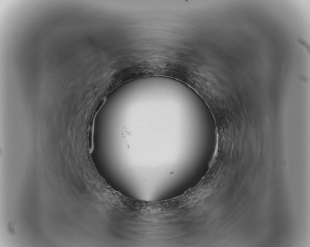 X0000096221057200801251051