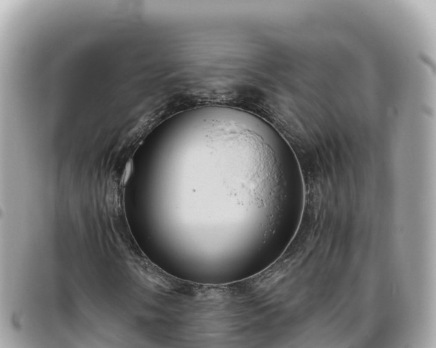 X0000096221058200801251051