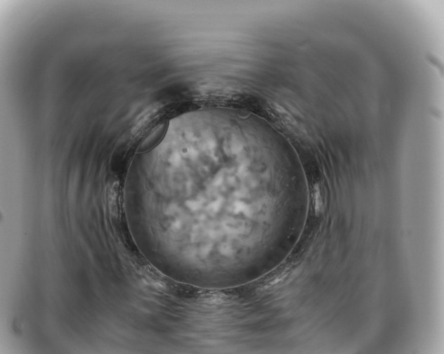 X0000096221059200801251051