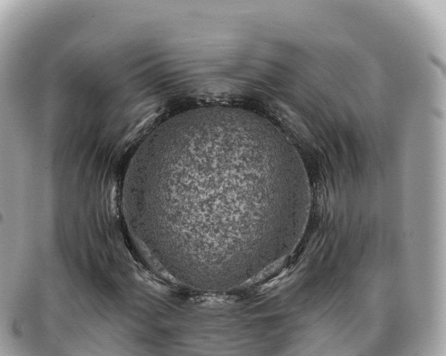 X0000096221060200801251051