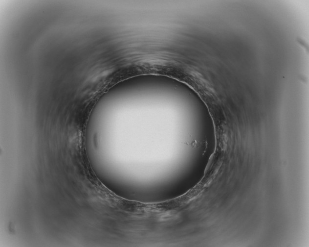 X0000096221061200801251051