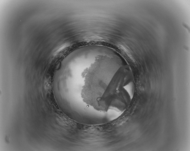 X0000096221063200801251051