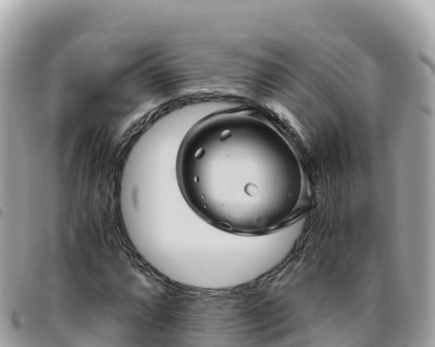 X0000096221064200801251051