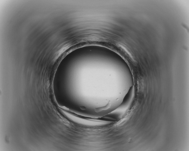 X0000096221065200801251051