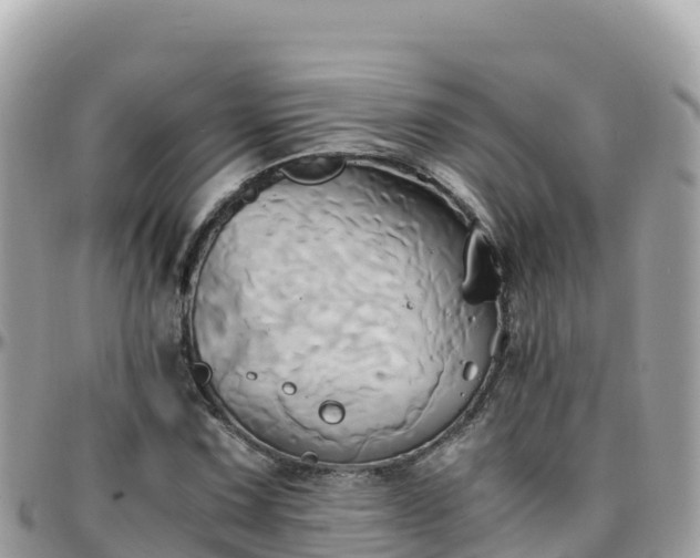 X0000096221067200801251051