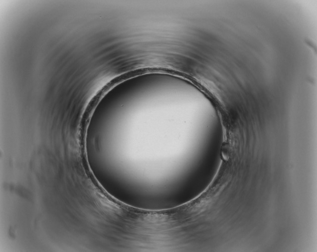 X0000096221068200801251051