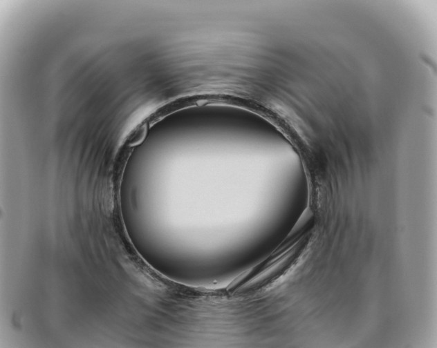 X0000096221069200801251051