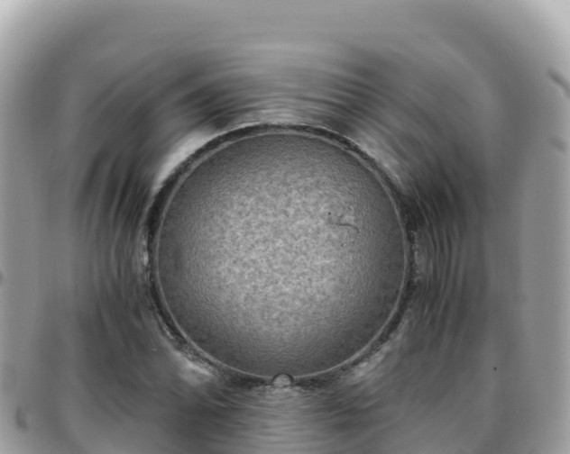 X0000096221070200801251051